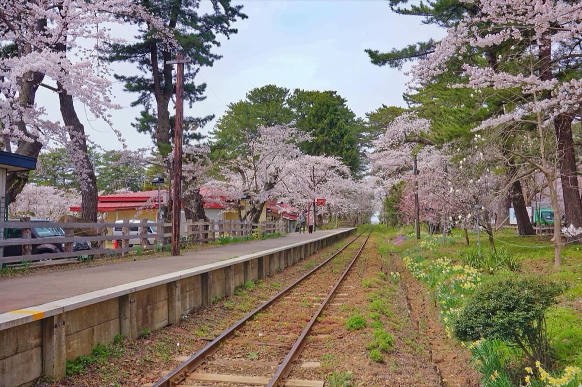 芦野公園の写真