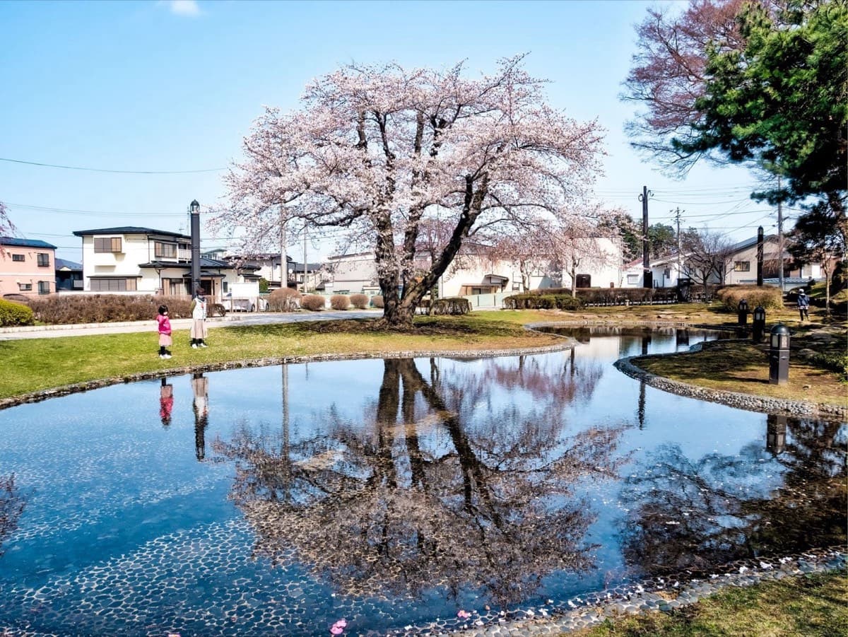 三八城公園の写真