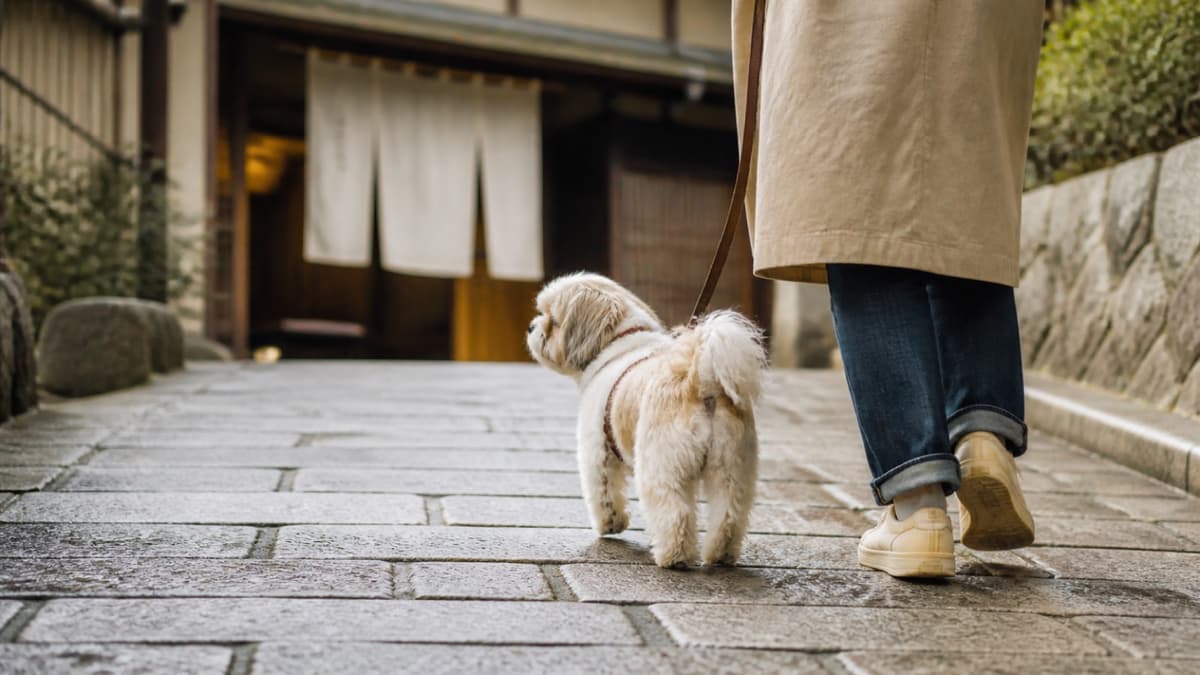 東北の犬と泊まれる温泉宿の選び方|目的別おすすめ8選