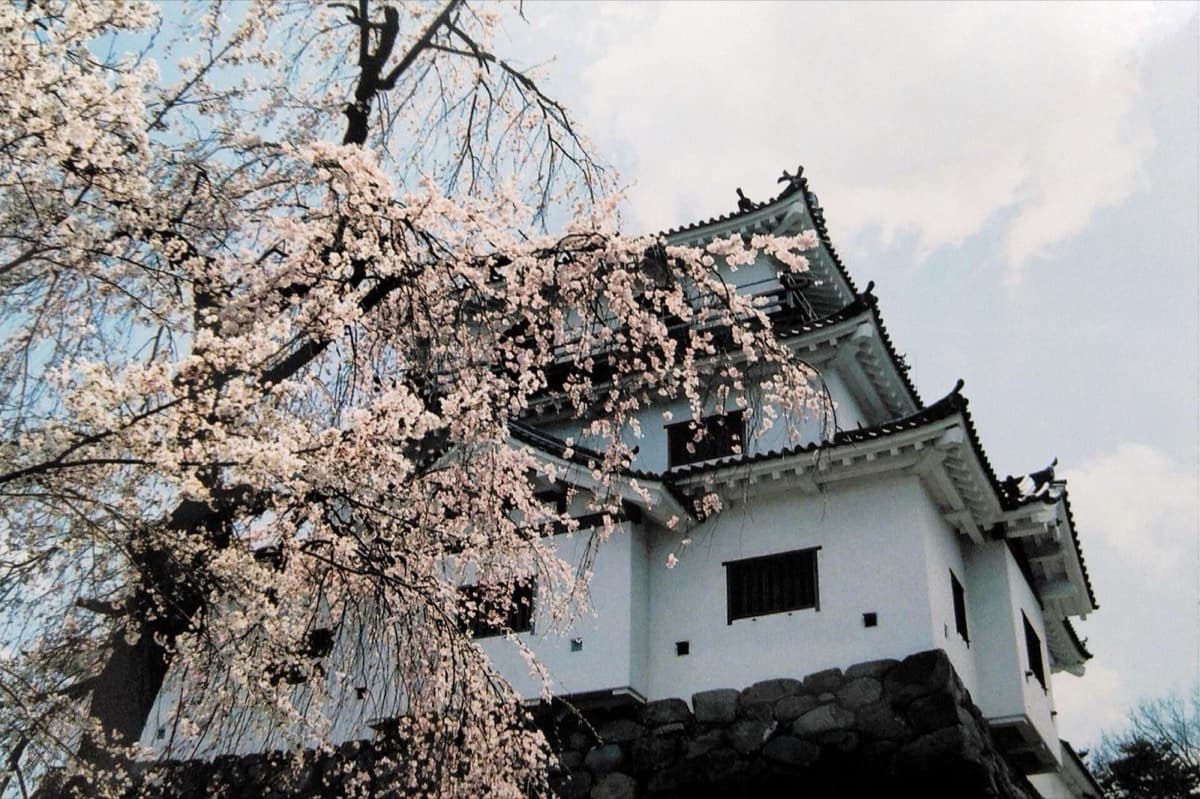 白石城(益岡公園)の写真