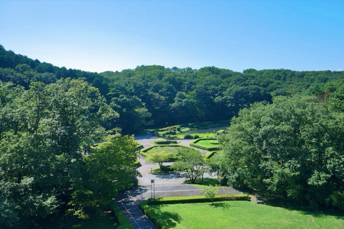 台原森林公園の写真