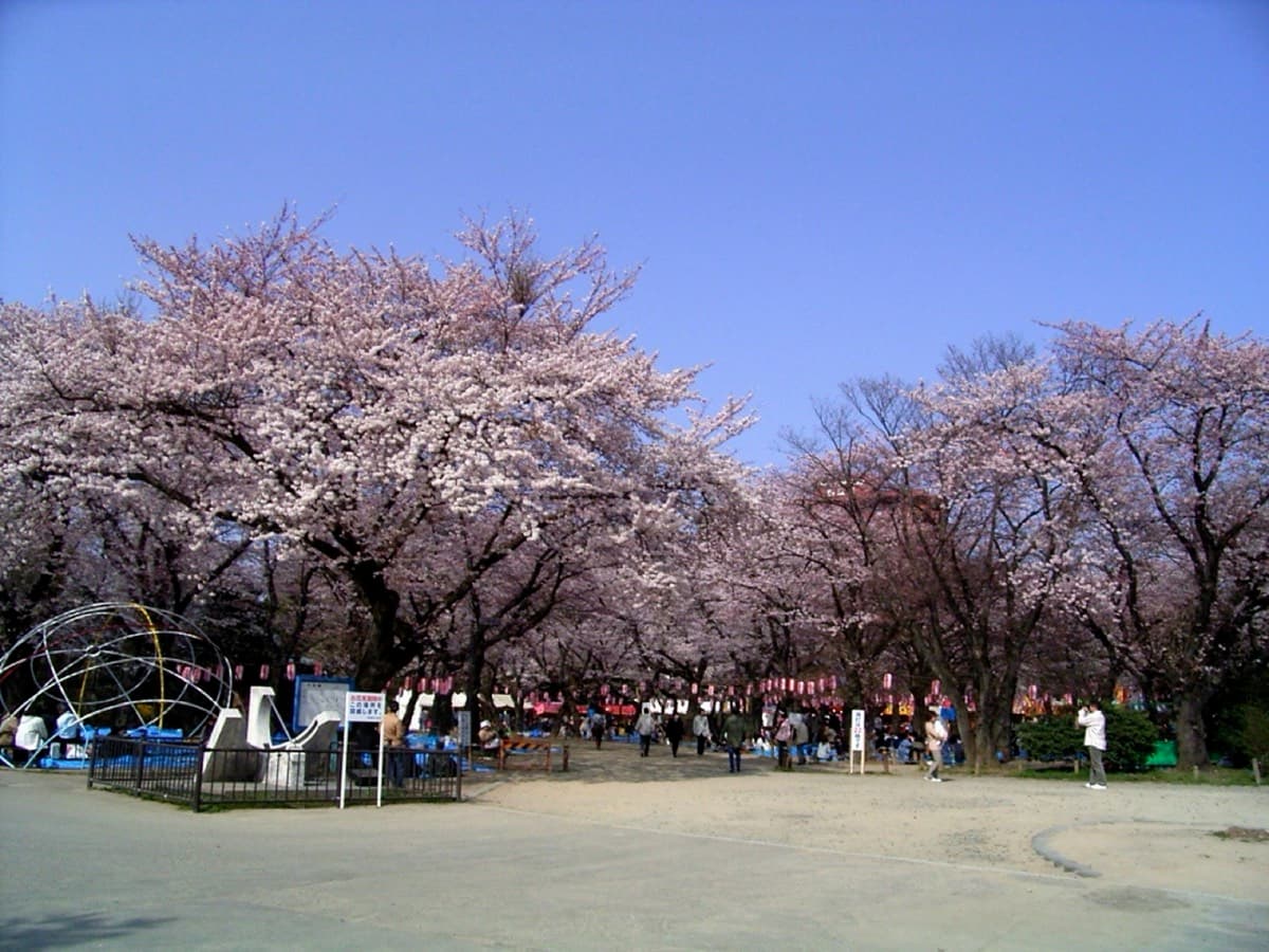 西公園の写真