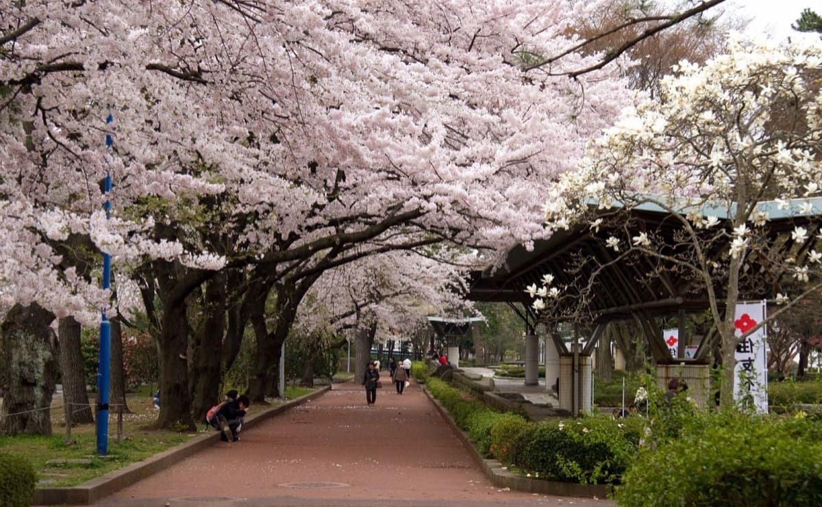 榴岡公園の写真