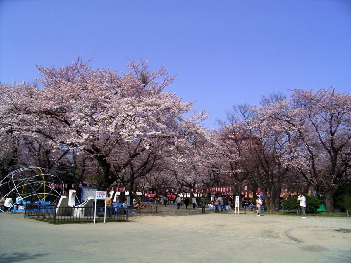 西公園の写真